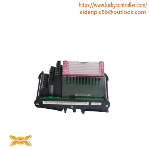FOXBORO P0916AA Module for Industrial Control Systems