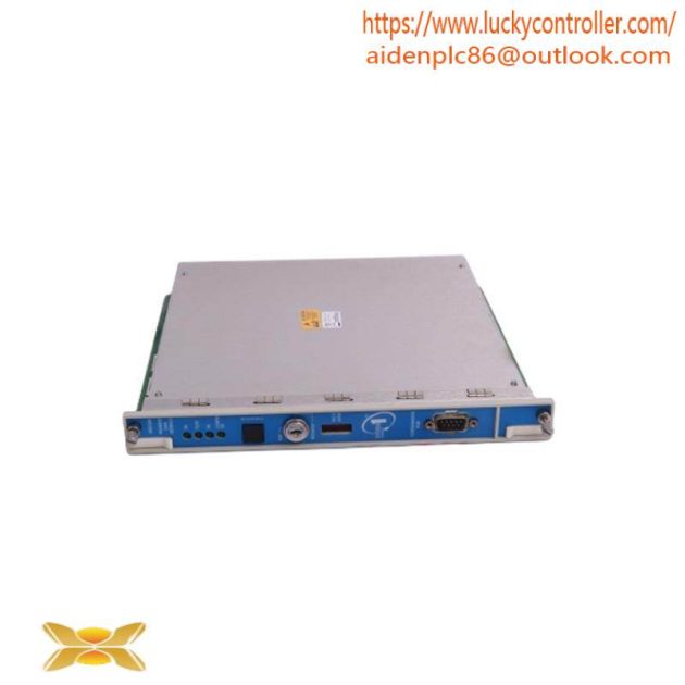 Bently Nevada 330101-00-63-10-02-00: Precision Measurement Module for Industrial Automation
