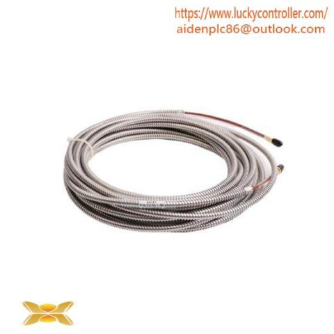ENTEK C6660 Radial Vibration Monitoring Module