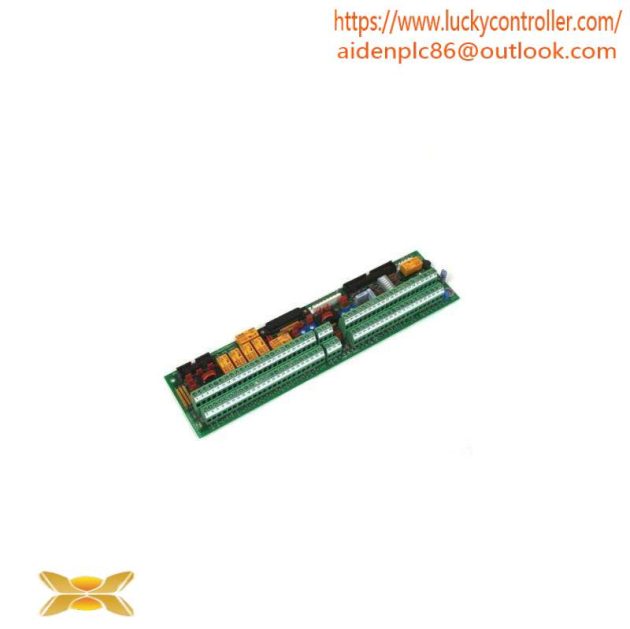 GE DS200FSAAG2ABA Customizable Hardware Assembly for Industrial Control Systems