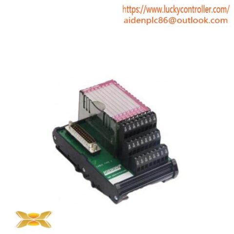 Foxboro P0916AA I/A Series Process Control Module