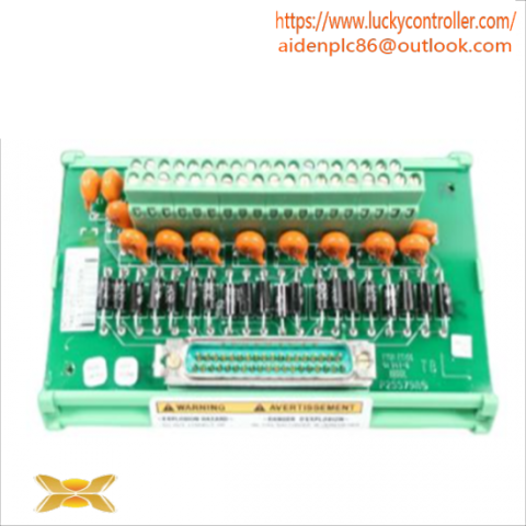 Woodward PLC 5466-318: Micronet Timer Plus Kernel PS Module
