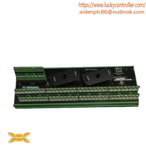Moore 16169-1-07 SAM Standard Analog Module: Precision Control at Your Fingertips