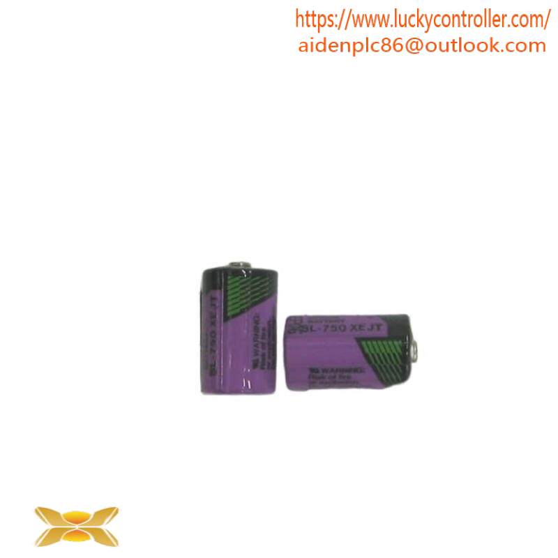 ABB SB808F 3BDM000199R1 SB 808F RAM Buffer Battery, 2 Pieces