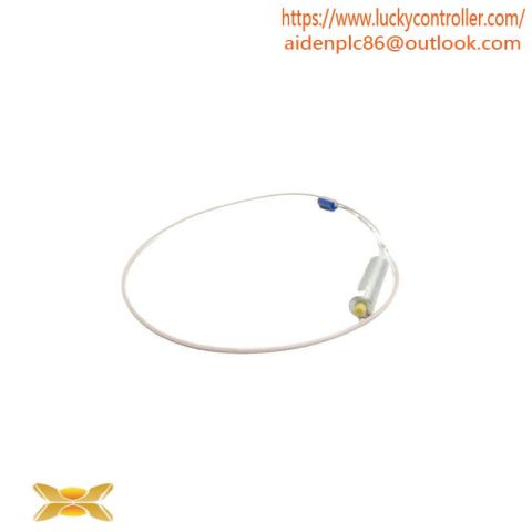 BENTLY NEVADA 3389-02: Proximity Probe for Advanced Control Systems