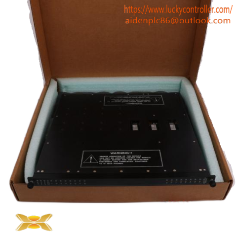 TRICONEX Processor Module Enhanced Emp II,3007