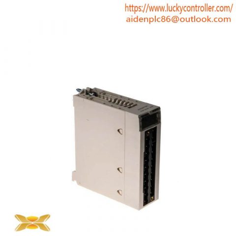 Schneider Electric BMXAMI0410 Isolated Analog Input Module for X80 PLC